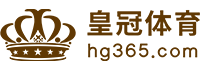 Logo 开云真人体育